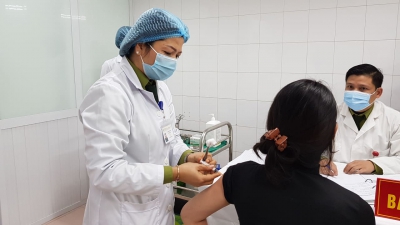 100% tình nguyện viên tiêm vaccine Nano Covax đều sinh miễn dịch