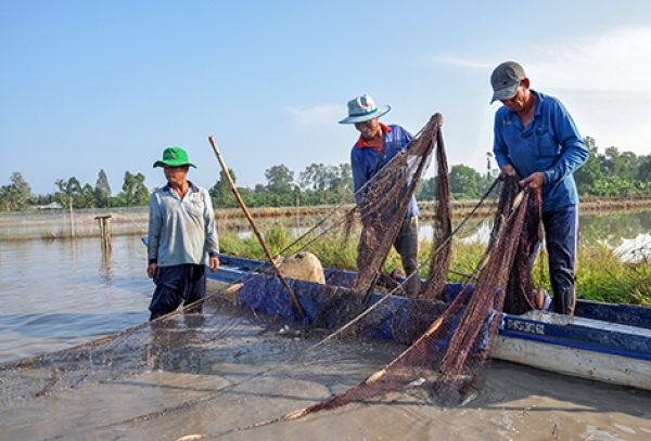 Nền tảng xây dựng xã nông thôn mới nâng cao