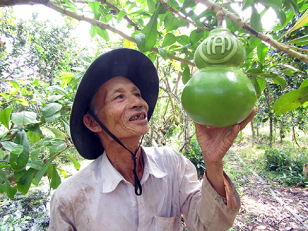 Cây cảnh, trái cây tạo hình vào mùa tết