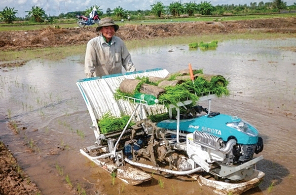 Chủ động, linh hoạt sản xuất lúa đông xuân 2019-2020