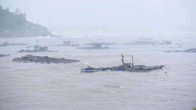 Khẩn cấp khắc phục hậu quả bão số 5