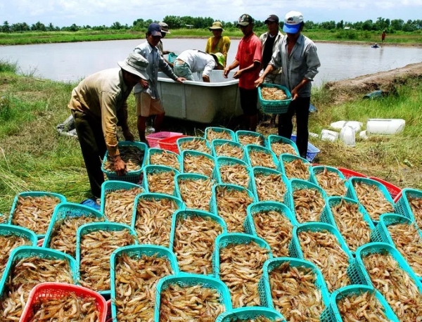 Phòng vệ khi Mỹ - Trung &quot;so găng&quot; tiền tệ