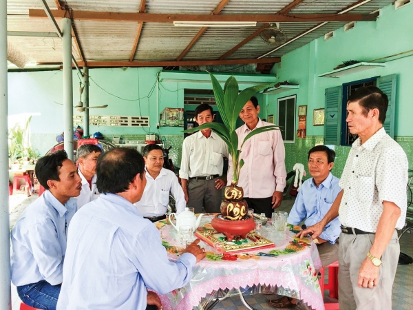 Làm giàu nhờ trồng dừa xiêm