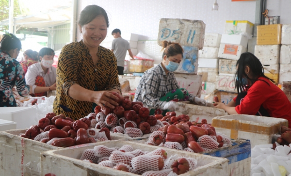 Nông sản Việt xuất khẩu cần thay đổi để đáp ứng nhu cầu thị trường