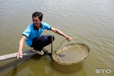 Thức ăn tự nhiên trong nuôi trồng thủy sản - giải pháp giảm chi phí và môi trường bền vững