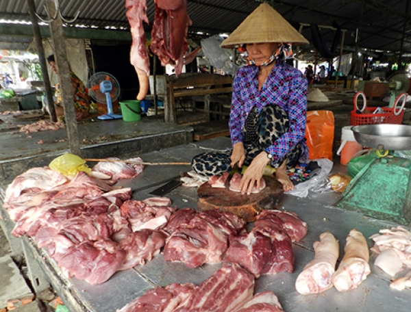 Giá heo hơi từ 58.000-62.000 đồng/kg