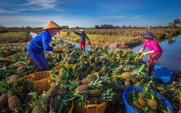 Hậu Giang: Ưu tiên hỗ trợ phụ nữ và trẻ em dân tộc thiểu số thuộc hộ nghèo, cận nghèo