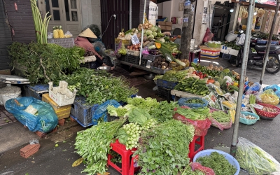 Bát phở có thể tăng giá vì cọng hành, người dân ngóng mãi giá rau xanh không giảm