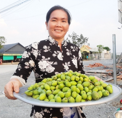 Cà na - món quà của thiên nhiên ban tặng