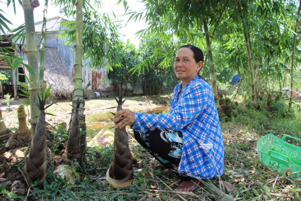 Thu lãi trăm triệu nhờ trồng loại cây bán không bỏ thứ gì