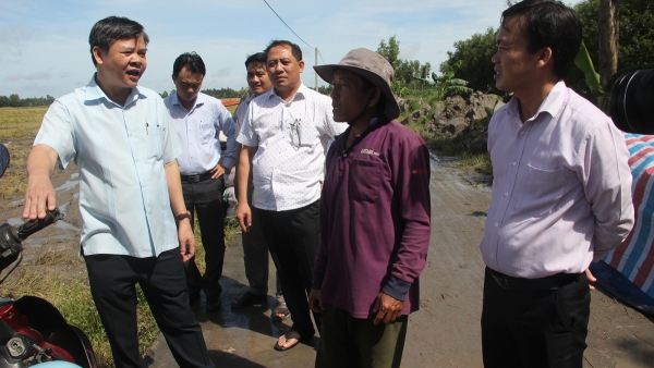 Hậu Giang khuyến cáo nông dân thu hoạch nhanh diện tích lúa Thu đông