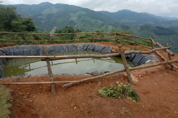 Bàng hoàng phát hiện thi thể 3 trẻ chăn trâu dưới hồ trữ nước