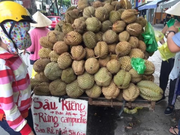 Sầu riêng rừng Campuchia rao 10.000 đồng nhưng bán tới 60.000 đồng/kg