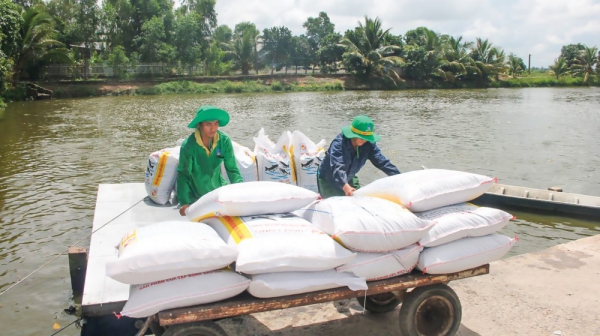 Giá thức ăn tăng cao, bộc lộ điểm yếu của ngành chăn nuôi