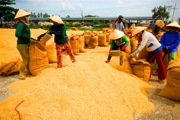 Vinaseed khánh thành Trung tâm công nghiệp chế biến hạt giống và nông sản hiện đại