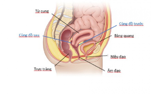 Cô gái chảy máu ổ bụng, tính mạng nguy kịch sau quan hệ tình dục