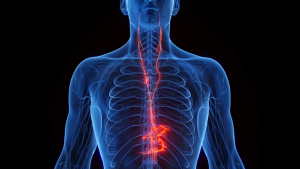 X&aacute;c định gi&aacute;c quan thứ 6 của con người: Kh&aacute;c xa tưởng tượng