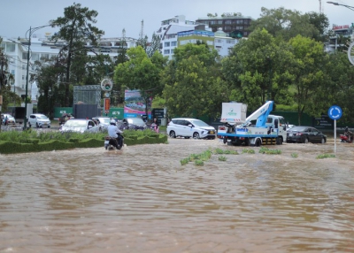 Đà Lạt: Nhiều con đường chìm trong biển nước, cây đổ la liệt