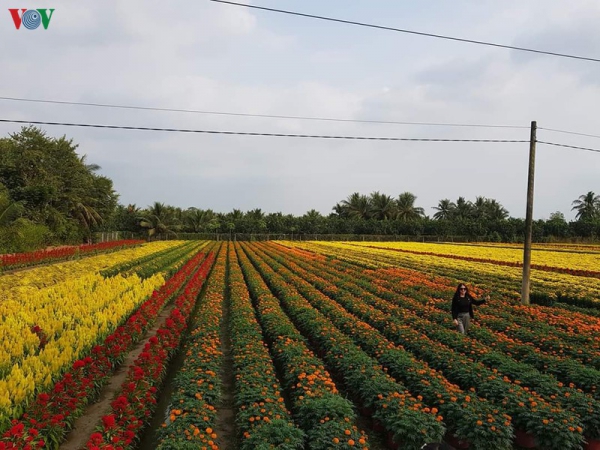 Thành phố Mỹ Tho hoàn thành chương trình xây dựng nông thôn mới