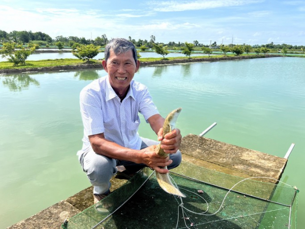 Lão nông ở Cà Mau trở thành tỉ phú từ nhờ... cãi lời vợ