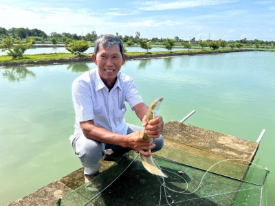 Lão nông ở Cà Mau trở thành tỉ phú từ nhờ... cãi lời vợ