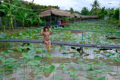 Phong Điền Kích cầu, khôi phục thương mại-du lịch