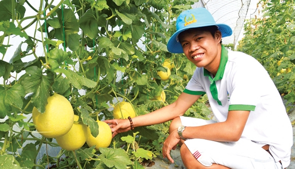 Bảo hộ quyền sở hữu trí tuệ đối với doanh nghiệp khởi nghiệp:  Đừng “mất bò mới lo làm chuồng”