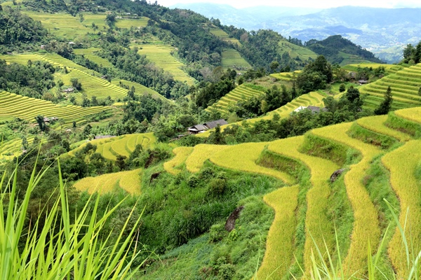 An toàn rồi, đi du lịch thôi