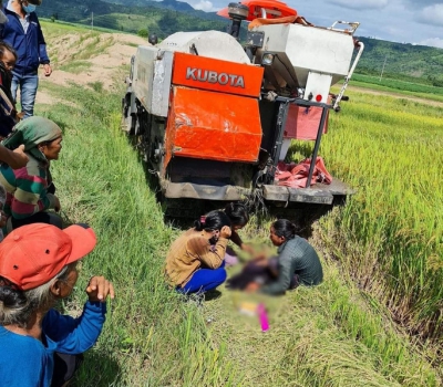 Bé trai 8 tuổi bị máy gặt lúa tông tử vong khi đang bắt chuột