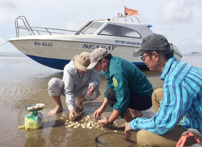 Bình Đại nghêu chuẩn bị thu hoạch lại bị chết