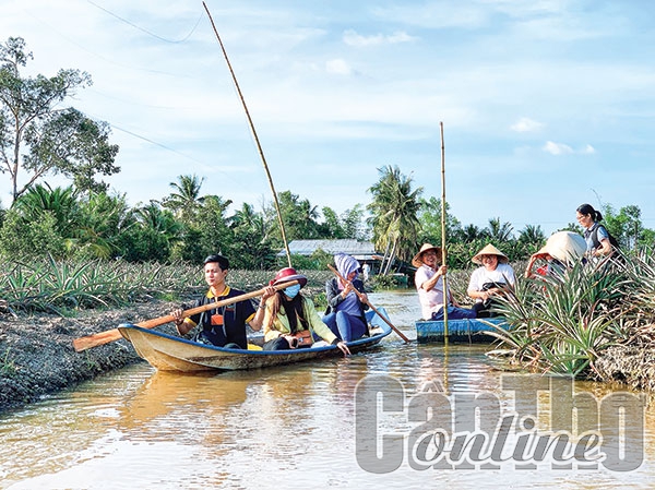 Triển vọng từ liên kết du lịch đường sông Hậu Giang - Cần Thơ