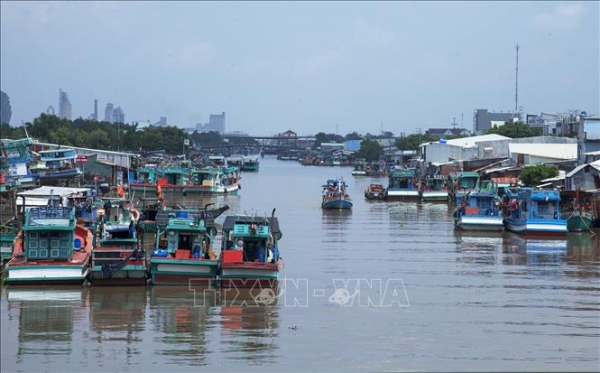 Kiên Giang có trên 84% tàu cá lắp đặt thiết bị giám sát hành trình