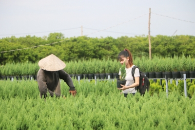 Để nông dân “ăn nên làm ra” từ du lịch nông nghiệp