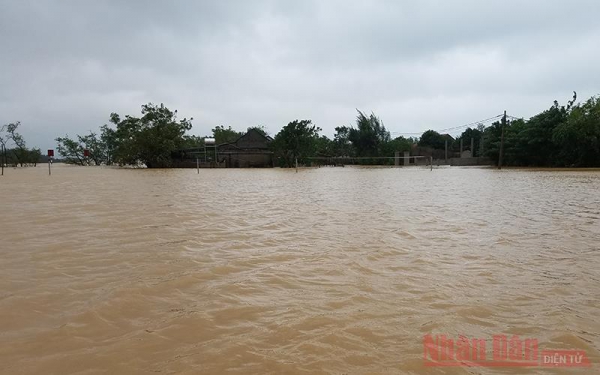 2.500 thẻ bảo hiểm y tế dành tặng đồng bào bị ảnh hưởng lũ lụt