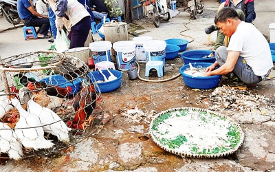 Bảo đảm an toàn thực phẩm trong lĩnh vực nông nghiệp