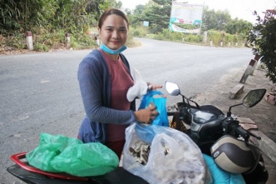 Trồng nấm bào ngư tạo việc làm cho nhiều lao động