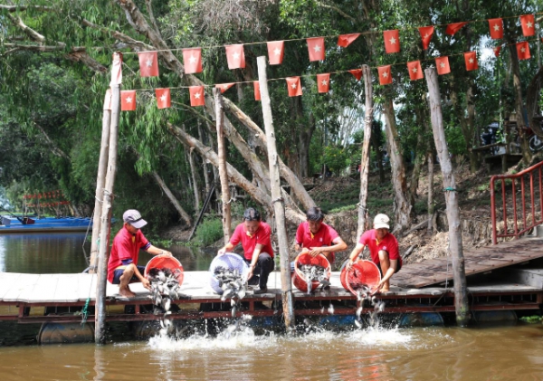 Trà Sư xuất chiêu “dụ” chim trời