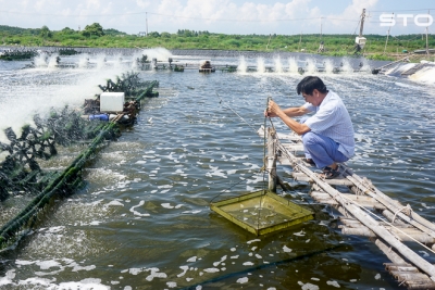 Một nửa thành công