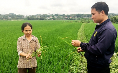 Hỗ trợ giải quyết nước sinh hoạt cho nhân dân vùng hạn, mặn