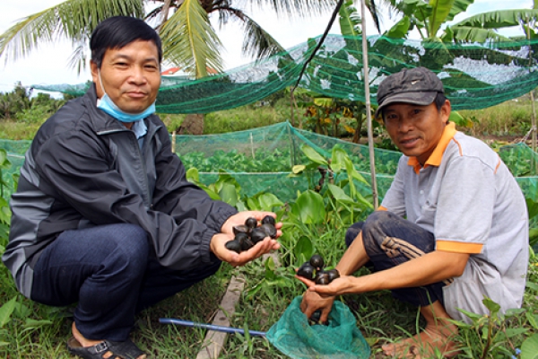 Đa dạng mô hình sinh kế