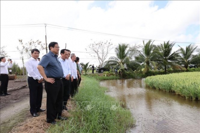 Thủ tướng khảo sát một số dự án giao thông trọng điểm tại Bạc Liêu.