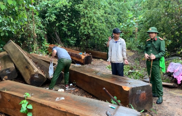 &quot;Ngược đời lâm tặc tố kiểm lâm... tiếp tay phá rừng&quot;: Truy tố 5 người