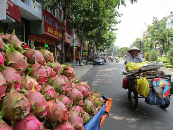 Trung Quốc siết đường tiểu ngạch, lo rau quả bí đầu ra