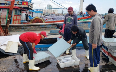 Giáp Tết, giá hải sản ở Đà Nẵng tăng nhẹ