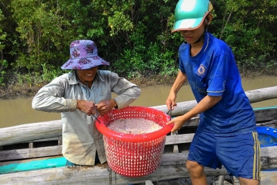 “Hốt bạc” nhờ nghề đẩy ruốc