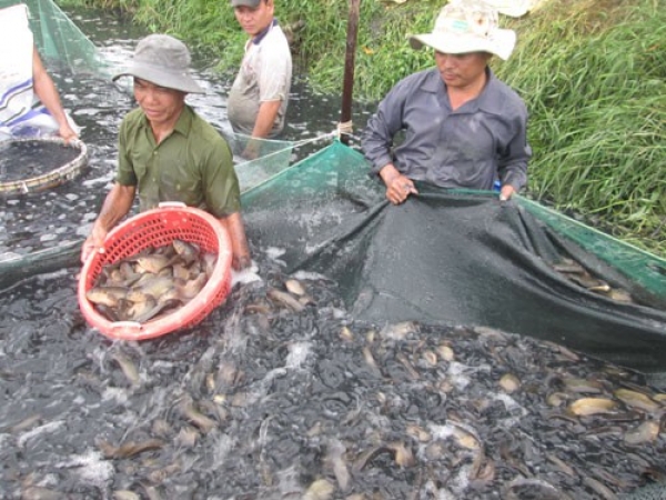 Hụt hơi với sản phẩm chủ lực