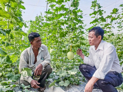 Cung ứng nông sản sạch