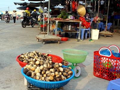 Nấm rơm tăng thêm 5.000 đồng/kg