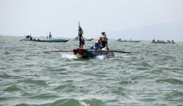 Kiểm soát chặt việc khai thác nghêu lụa, sò lông