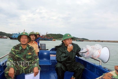 Hơn 300 khách du lịch tự nguyện ở lại đảo Cô Tô đón bão số 3